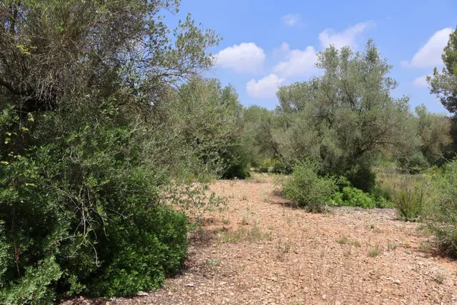 MASIA RUSTICA EN DOS HECTAREAS DE TERRENO ZONA POU DE BECA — 42
