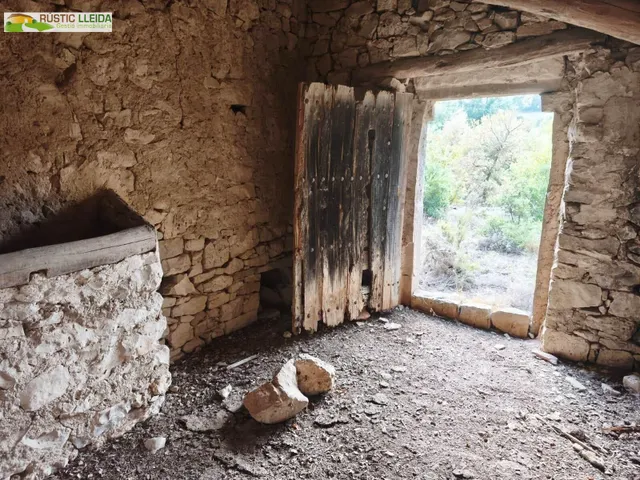 Finca rústica en venta cerca del monasterio del tallat, con cabaña de piedra. — 5