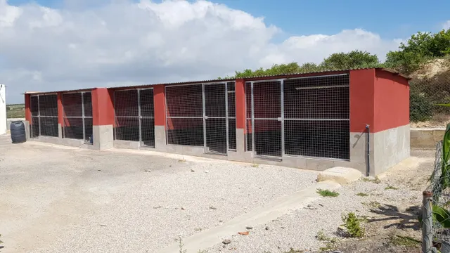 SE VENDE FINCA RÚSTICA DE 27.000 m Los Montesinos — 15