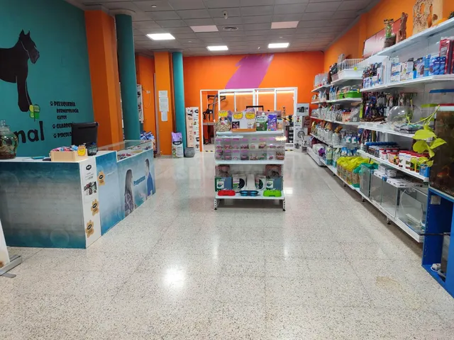 LOCAL COMERCIAL ACONDICIONADO Y MUY CENTRICO - foto 3