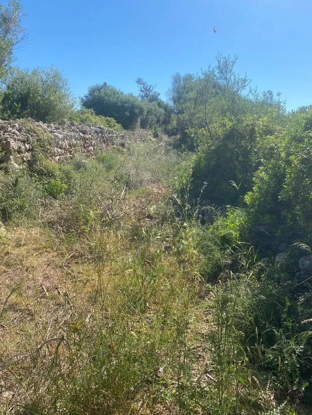 Finca rustica edificable en Felanitx — 5