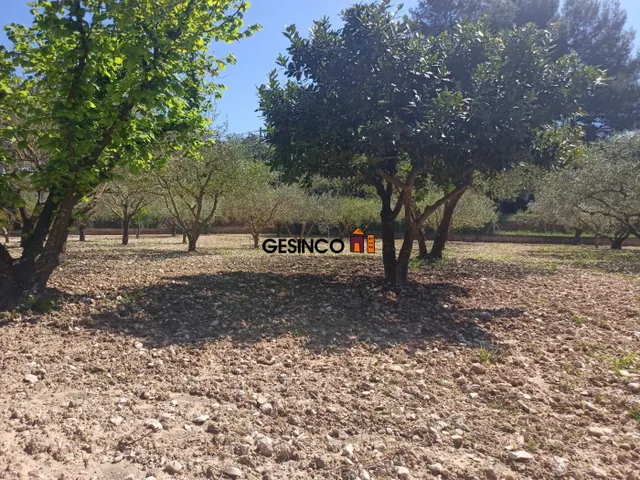 CASA DE CAMPO EN VENTA EN ONTINYENT — 14