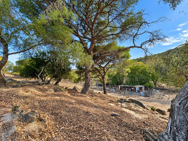 Finca rústica de 18.444 m2 con pozo y construcción catastrada en Alcalá de los Gazule — 45
