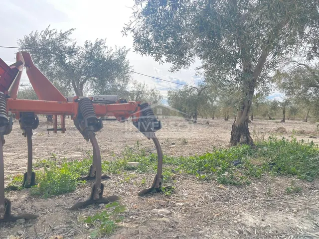 FINCA DE OLIVOS EN ULEILA DEL CAMPO - foto 5