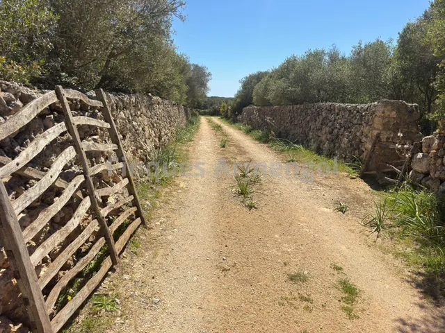 C-7048 GRAN FINCA EN CIUTADELLA — 49