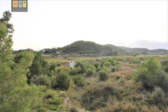 Casa campo finca rustica con apartamento tambien independiente, ideal hotel rural/retiros terapia — 29