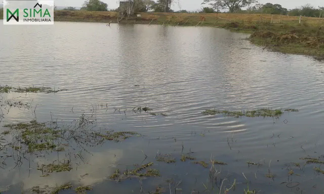 SE VENDE FINCA GANADERA EN EL MUNICIPIO DE MAHATES BOLIVAR — 24