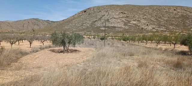Parcela en Barbarroja