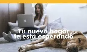 CASA LUMINOSA CON PARCELA A UN PASO DEL CENTRO — 34