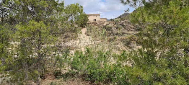 Parcela 330m² en venta - Abanilla — 5