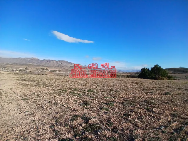 ¡¡ PRECIOSA PARCELA DE 20.300 M2 EN HONDÓN FRAILES !! — 2