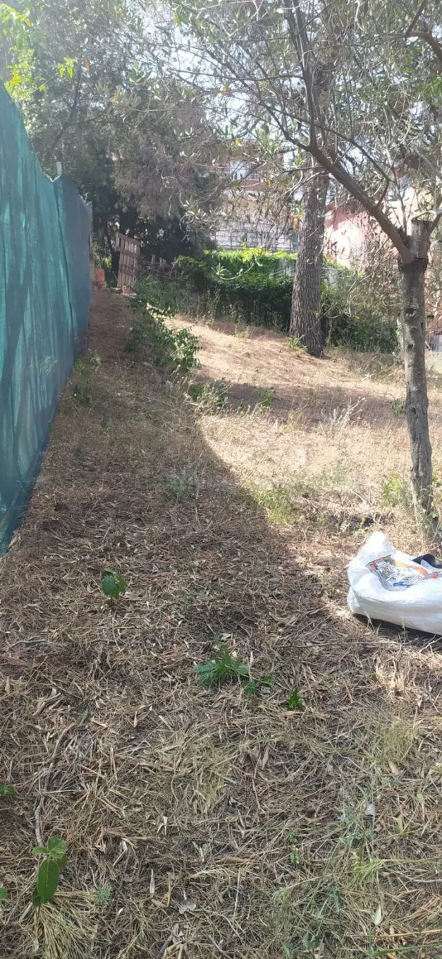 SE VENDE PARCELA EN ABRERA CAN VILLALBA - foto 3