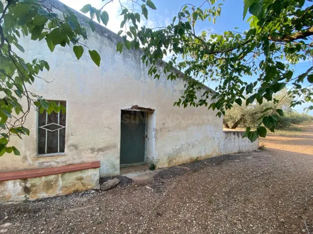 Fantástica finca con casa en la Miliana — 6