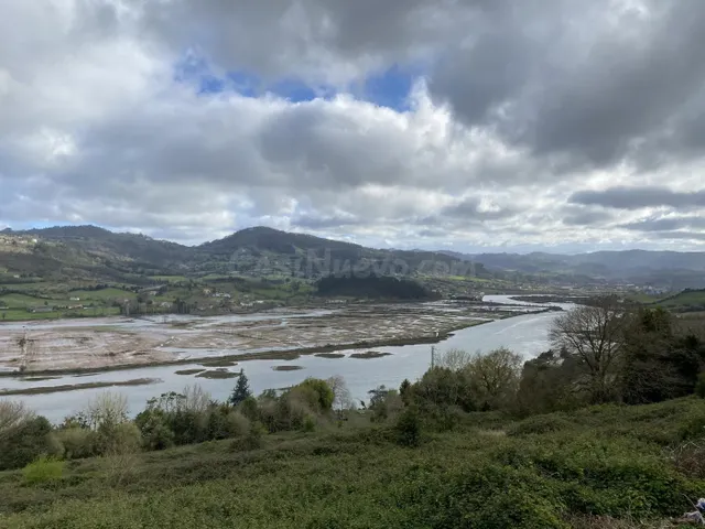 EXCLUSIVA PROPIEDAD CON VISTAS A LA RIA Y 70 HECTAREAS DE TE - foto 3