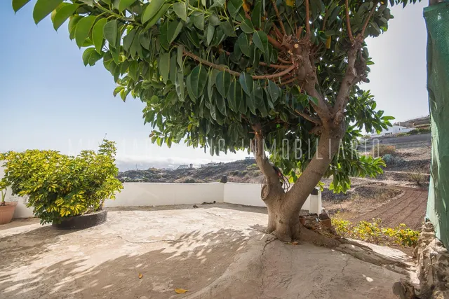 Casa de campo con terreno en La Breña, Telde. - foto 4