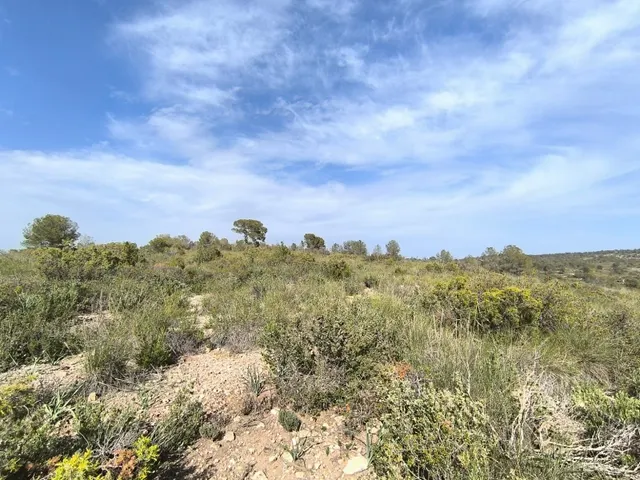 Parcela 999m² en venta - Ayuntamiento — 7