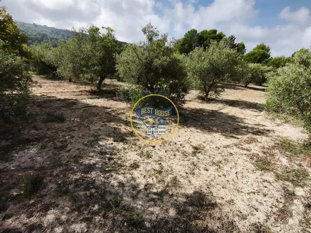 ¡¡¡OPORTUNIDAD!!! ENCANTADORA CASA DE CAMPO EN EXCLUSIVA EN ONTINYENT CON LUZ Y AGUA — 38