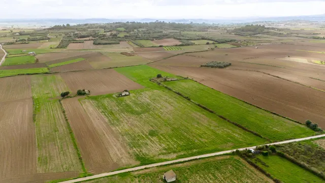 Parcela rústica con proyecto en muro — 4