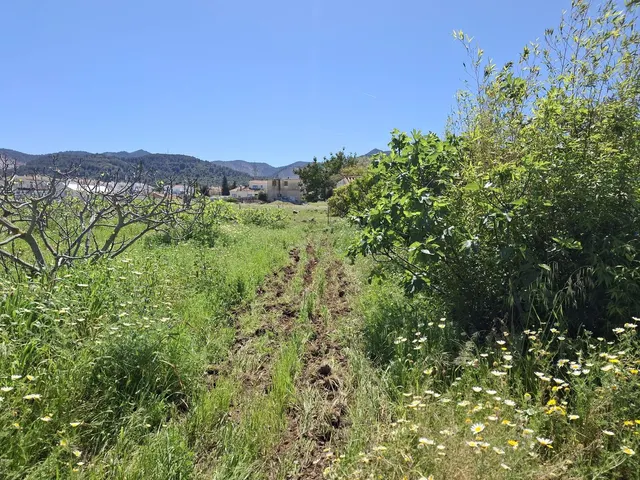 Terreno rústico de 3.413 m2 en Alhaurín de la Torre para proyectos rurales — 7