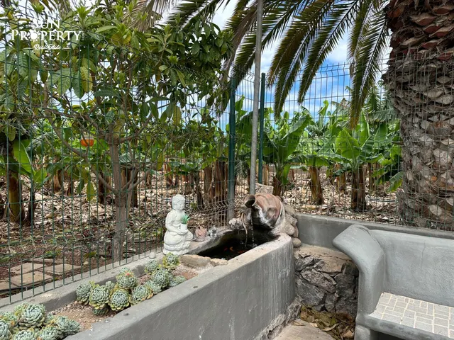 FINCA ECOLÓGICA CON GRAN CASA Y ALTO POTENCIAL DE INVERSIÓN — 33