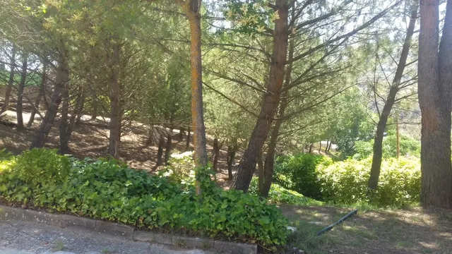 Parcela urbana de esquina en el centro de Loranca de Tajuña — 13