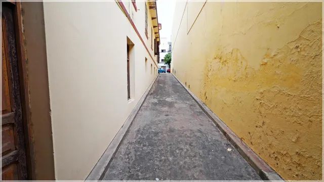 CASA SEÑORIAL EN SAN JUAN, TELDE — 30