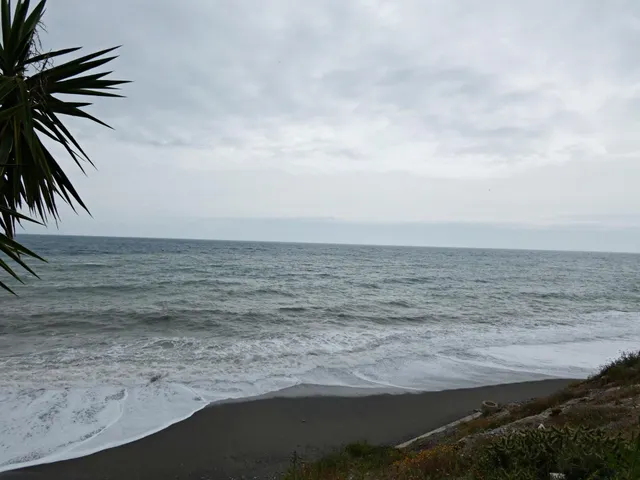 GRAN PISAZO AL LADO DEL MAR — 44