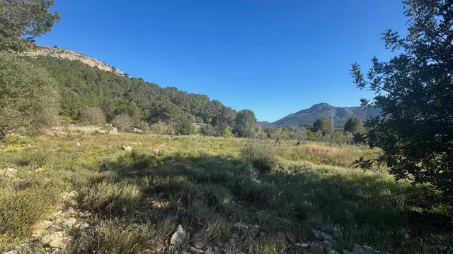 Parcela rústica edificable en entorno natural privilegiado — 2