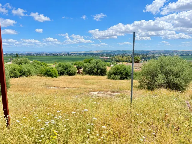 2.089 m2 DE ESPACIO, NATURALEZA Y UNAS VISTAS QUE HABLAN POR SÍ SOLAS . . . — 7