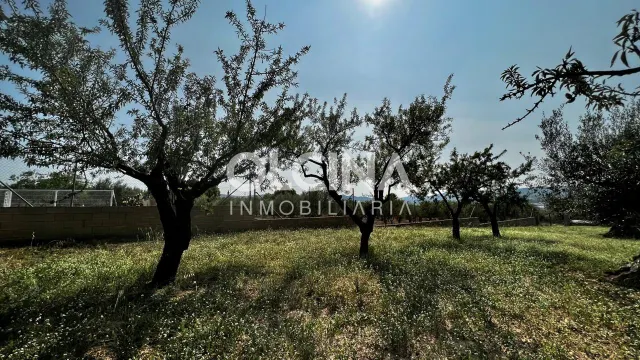 Terreno rural en venta - Els Plans — 7