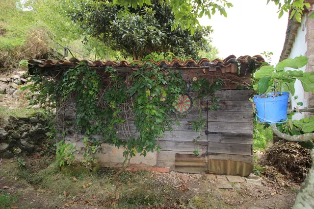 CASA DE PIEDRA EN CARMONA — 17