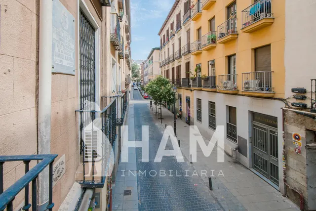 Piso 6 habitaciones 151m² en venta - San Nicasio — 8