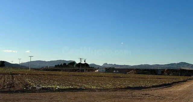SE VENDE terreno rustico OKUPA en C Jumilla SN de Jumilla - foto 2