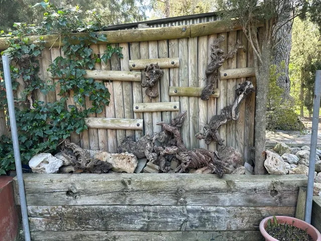 Terreno en partida Vallonés — 19