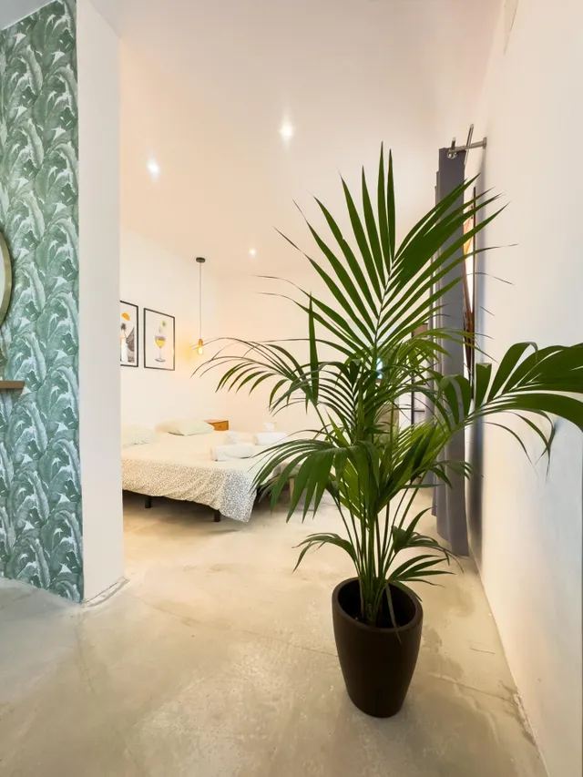EUPHORIA SUITE, maravillosa propiedad en Los Silos. — 19