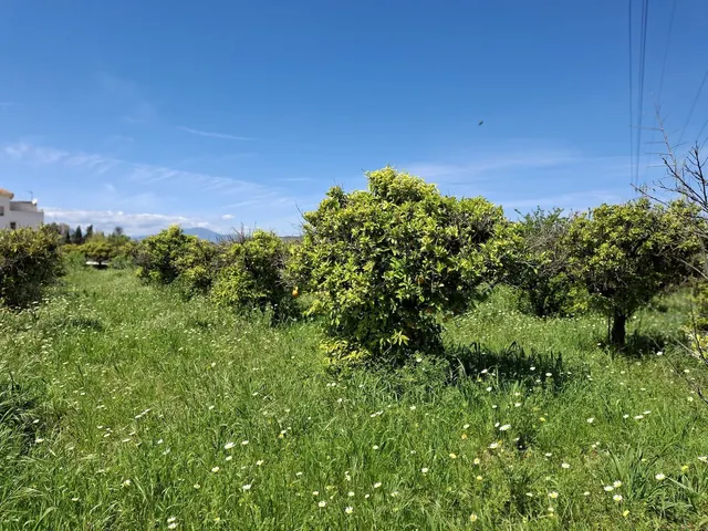 Terreno rústico de 3.413 m2 en Alhaurín de la Torre para proyectos rurales — 11