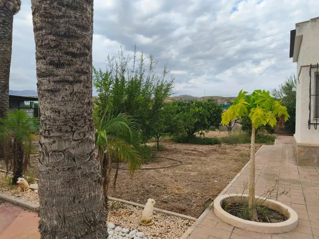 Chalet con piscina en peña las aguilas-Elche — 10