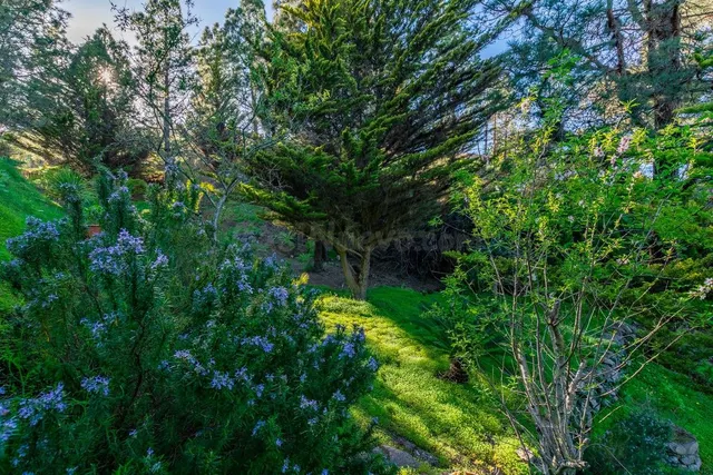 Casa de campo totalmente reformada en una ubicación idílica - foto 5