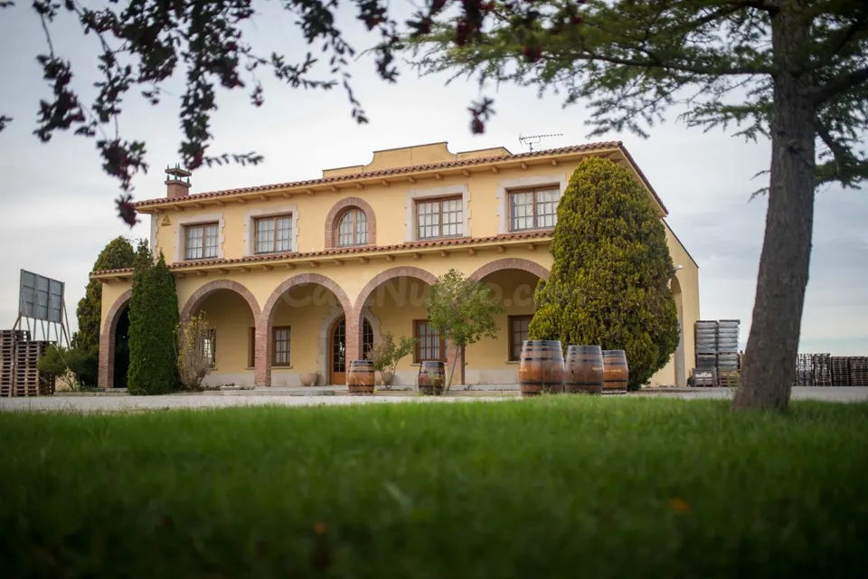 En venta Bodega en el Penedès.