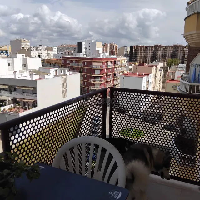PISO con terraza y parking a lado - Parque del Langostino - foto 5