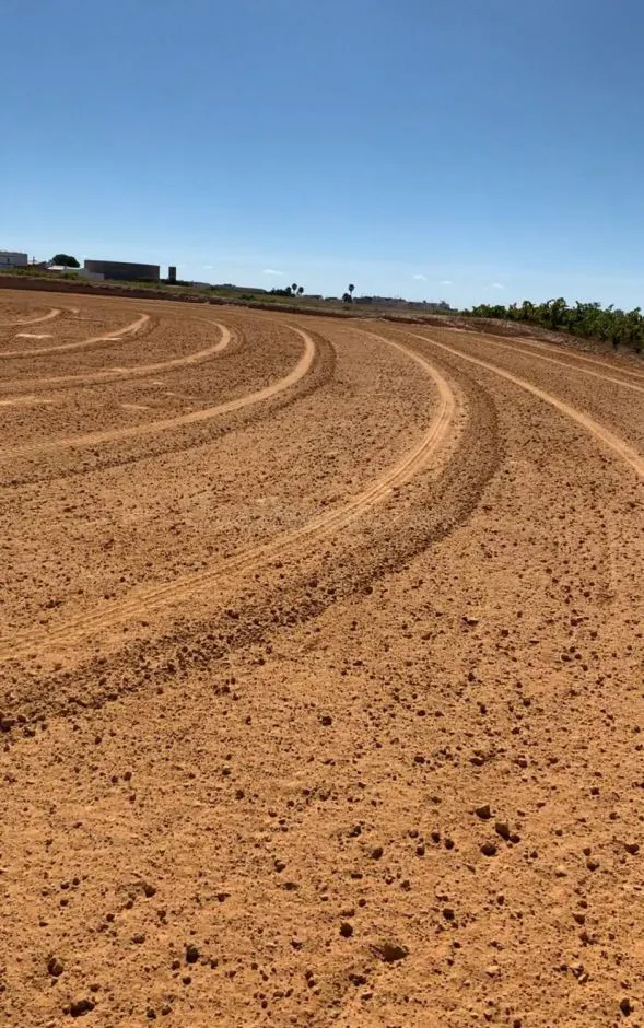 Terreno rural en venta - Bollullos par del condado - foto 2