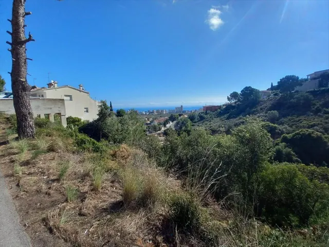Terreno urbano residencial en venta en Urbanización Las Atal - foto 5