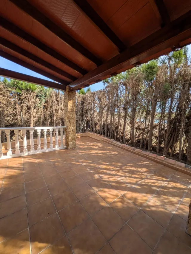 ESPECTACULAR FINCA CON CASA, PISCINA PRIVADA Y PLANTACIÓN DE LIMONEROS EN JACARILLA — 6