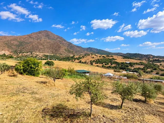 VENTA DE EXCEPCIONAL FINCA RÚSTICA CON GRAN PARCELA Y EDIFICACIONES EN ESTEPONA — 16