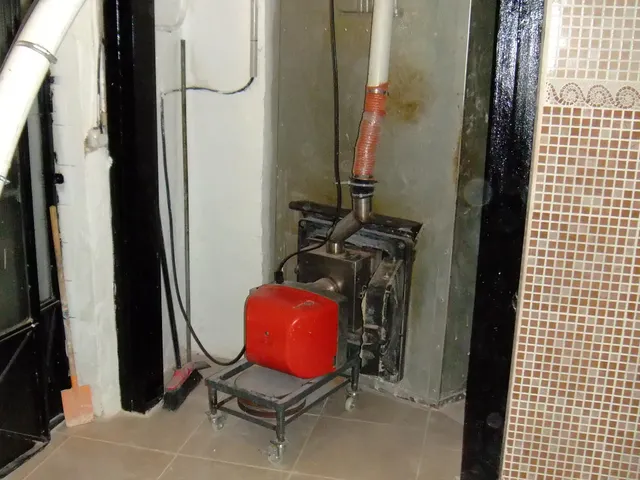 TRASPASO DE HORNO  BOLLERÍA  EN EL BOTANIC — 28