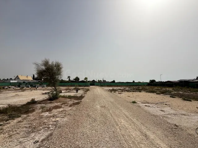 Terreno rústico en venta – La Hoya (Elche), con proyecto bás - foto 2