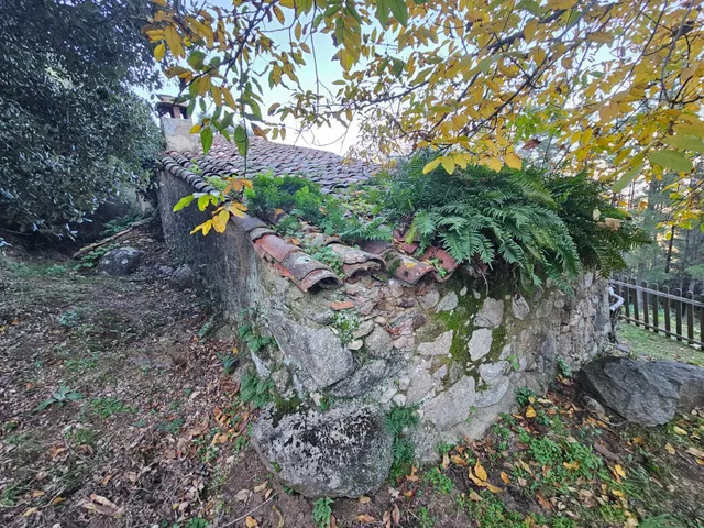 Parque natural del montseny (afueras riells): masía típica catalana catalogada a reformar — 45