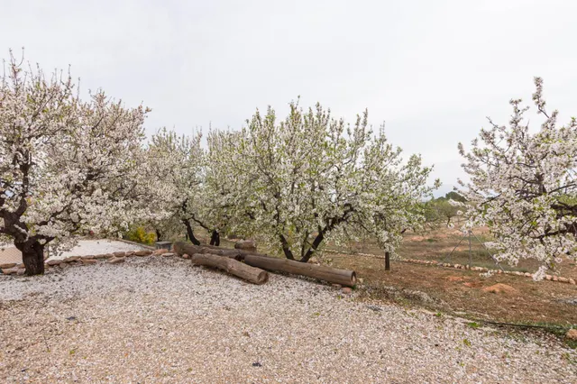 Se vende chalet único - Un rincón dónde habita el arte — 39