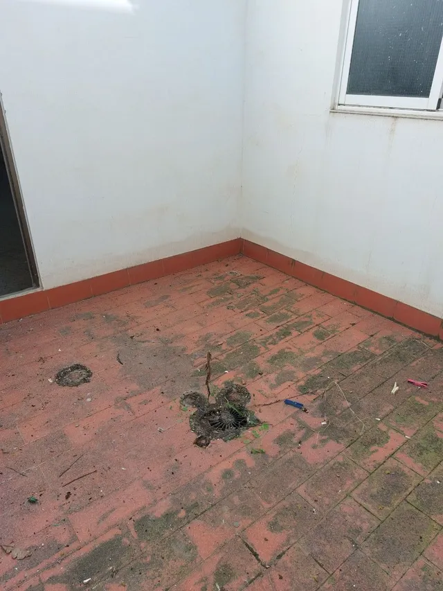 Planta baja en Benifaio — 7