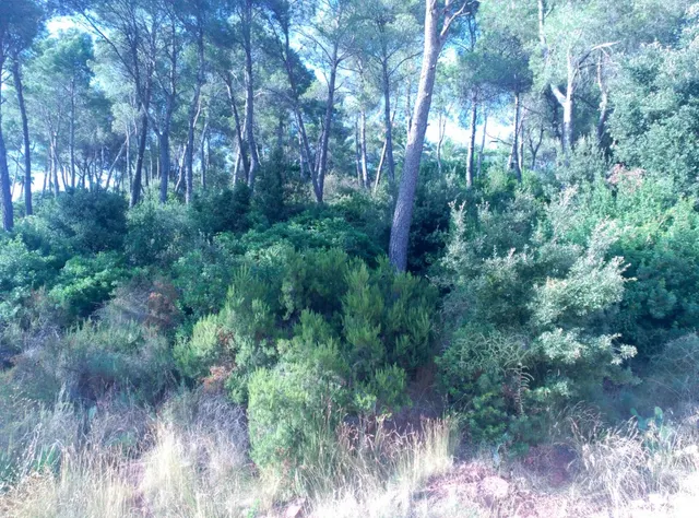 Espectacular terreno que da a dos calles, en Corbera de Llobregat, cerca Hotel Can Fisa. — 27